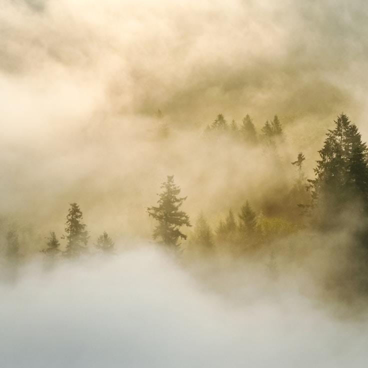 Alpine wilderness panorama