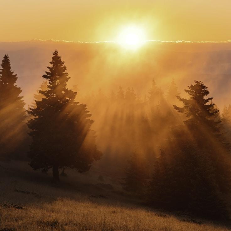 Protected areas overview